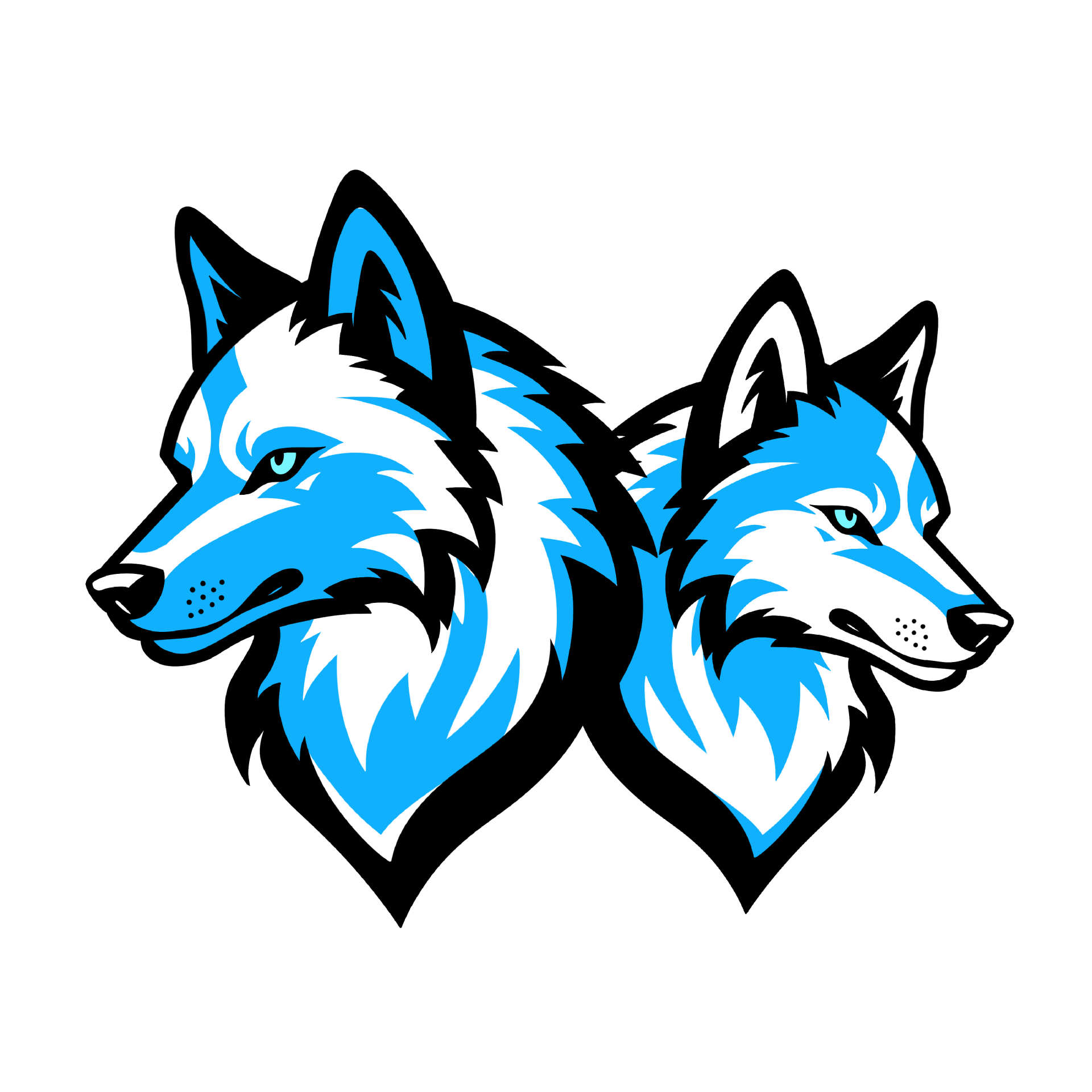 Blue & White Wolves Games